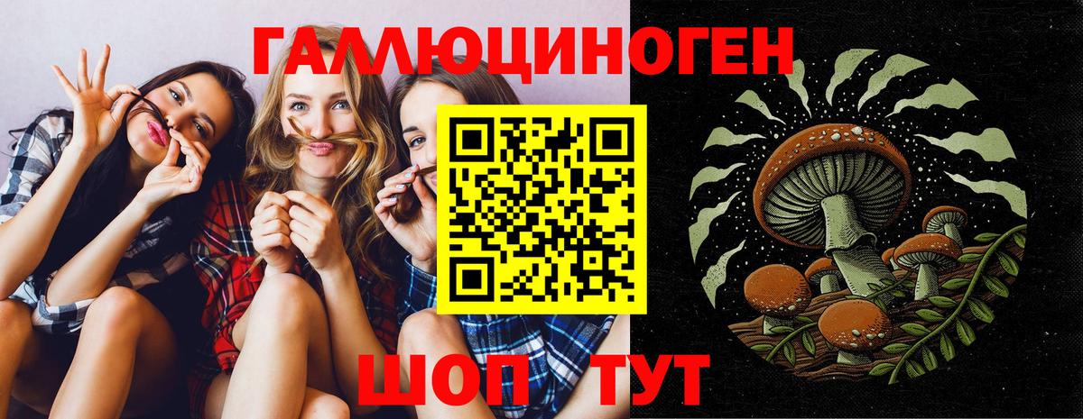 Салехард  Галлюциногенные грибы GOLDEN TEACHER  Галлюциногенные грибы MAGIC MUSHROOMS  Вход с VPN 