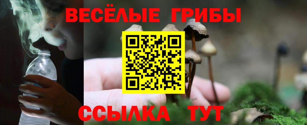 Галлюциногенные грибы ЛСД Салехард